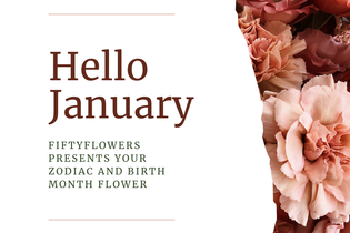 January zodiac and birth month flower presented by Fiftyflowers