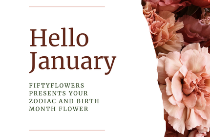 //fiftyflowers.com/cdn/shop/articles/Jan_Flower_Cover.png?crop=center&height=280&v=1735314830&width=430