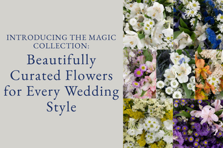 Introducing the Magic Collection: Beautifully Curated Flowers for Every Wedding Style