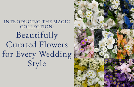 Introducing the Magic Collection: Beautifully Curated Flowers for Every Wedding Style