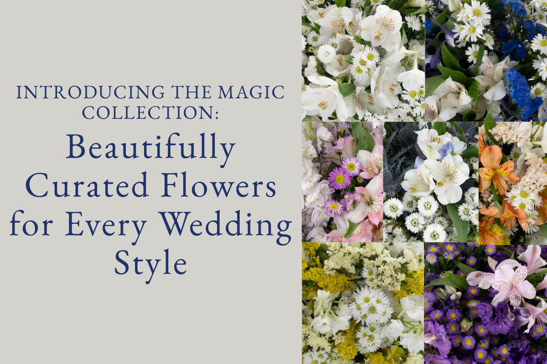 Introducing the Magic Collection: Beautifully Curated Flowers for Every Wedding Style