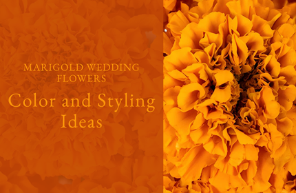 Marigold Wedding Flowers: Color and Styling Ideas