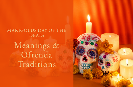 Marigolds Day of the Dead: Meanings and Ofrenda Traditions