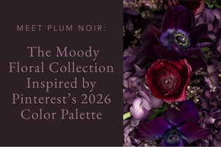 Meet Plum Noir The Moody Floral Collection Inspired by Pinterest’s 2026 Color Palette