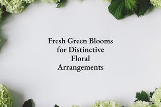Fresh Green Blooms for Distinctive Floral Arrangements