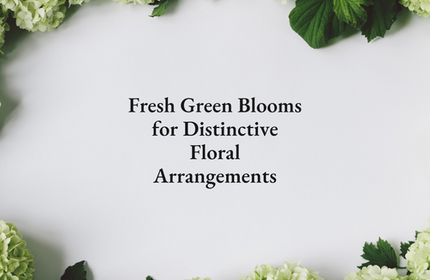 Fresh Green Blooms for Distinctive Floral Arrangements