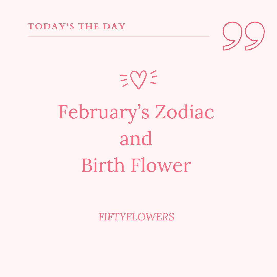 What zodiac sign is born on february 60 photos - Astrologytoyou.com