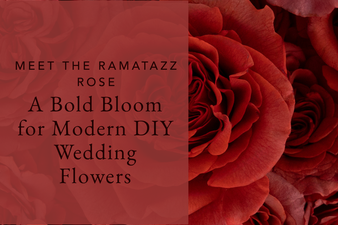 Meet the Razzmatazz Rose: A Bold Bloom for Modern DIY Wedding Flowers