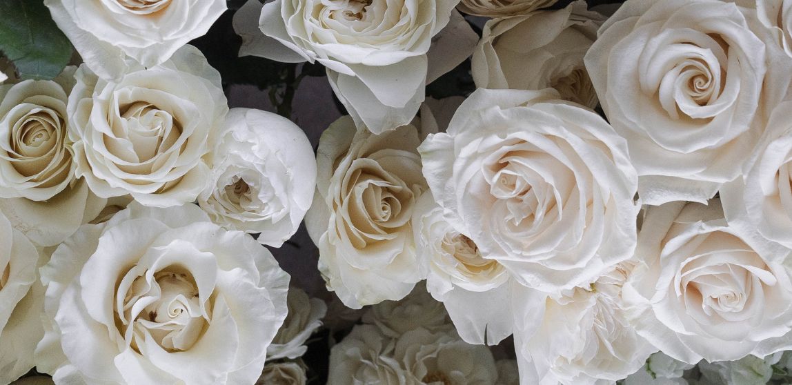 Captivating Roses: The Timeless Symbol of Love and Romance - FiftyF...