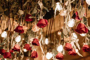 red roses hanging from ceiling with light bulbs