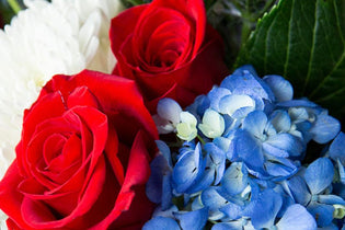 red roses, blue hydrangea, and white mum flower arrangement up close