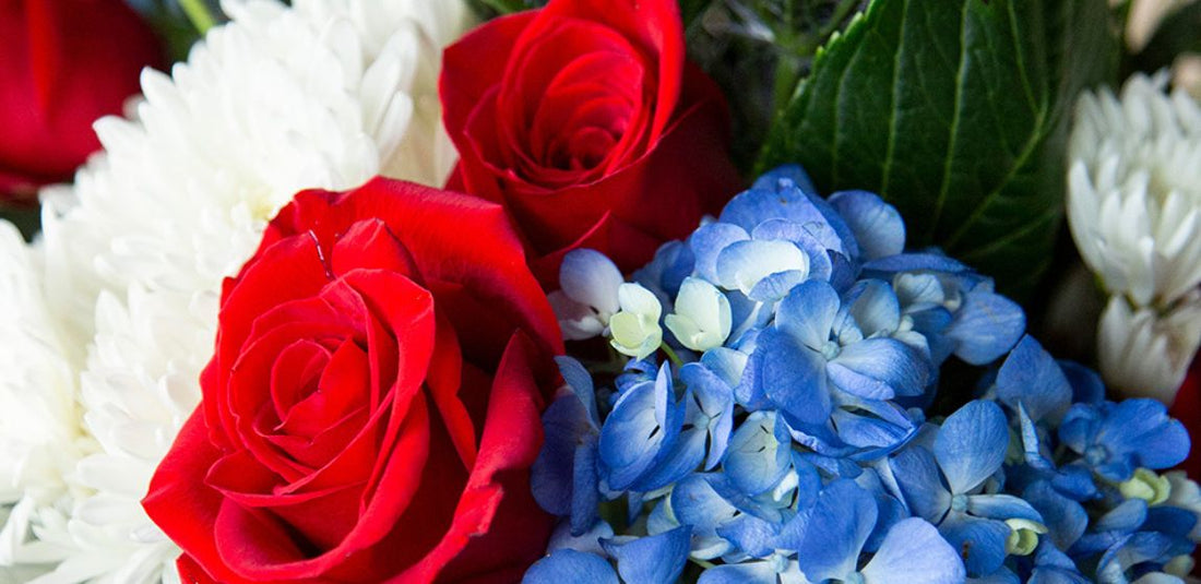 red roses, blue hydrangea, and white mum flower arrangement up close