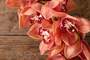 Wiring flowers - Brief Workshop