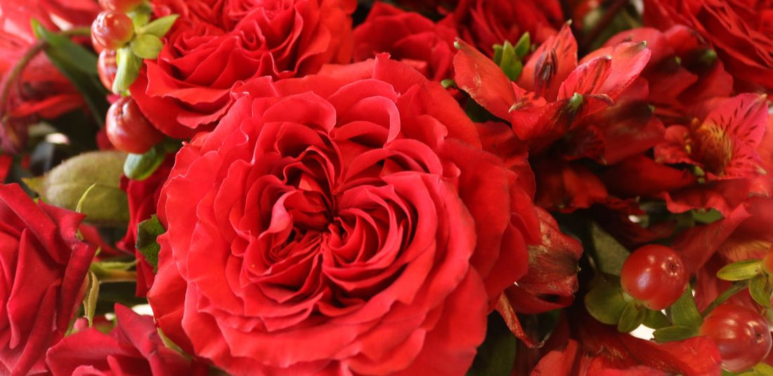 red valentines day bouquet with garden rose