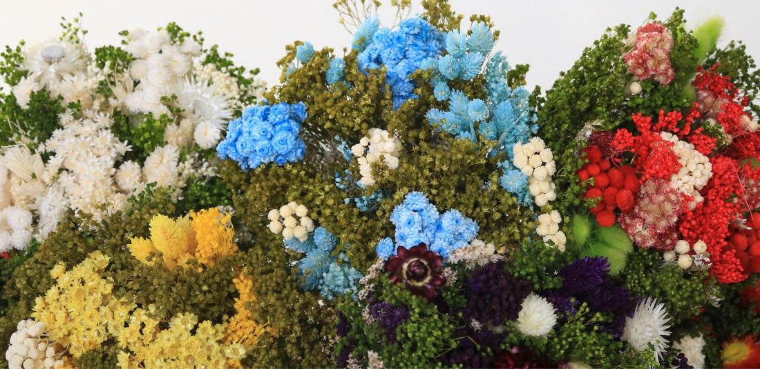 red, blue, yellow, and white dried flower bouquets