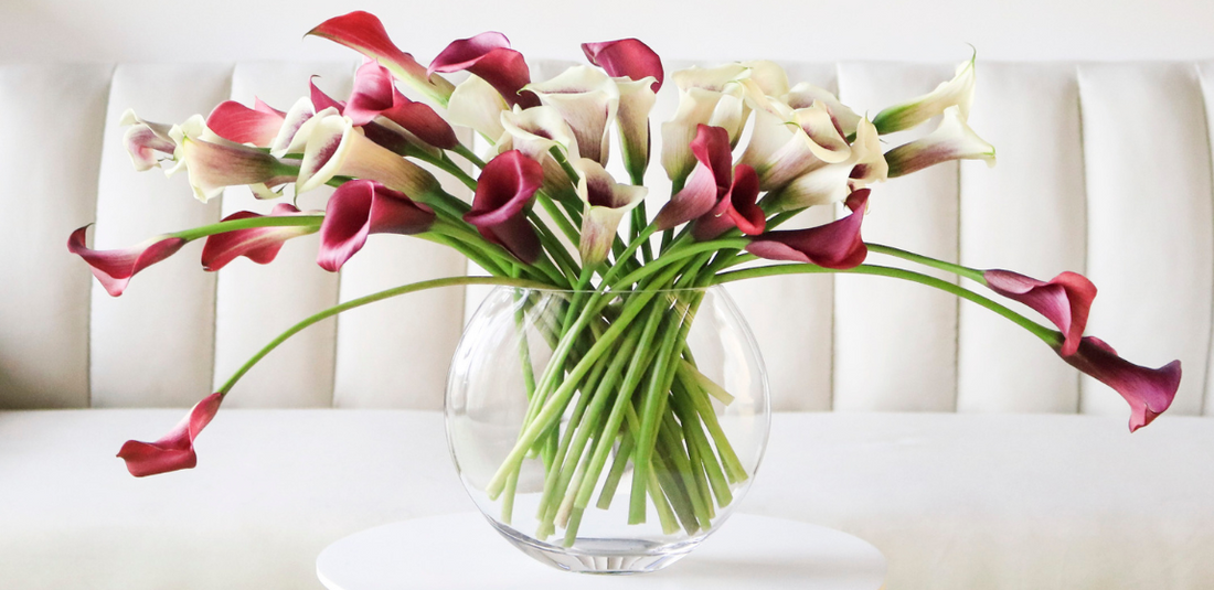 purple and white calla lilies is large clear round vase in front of white couch