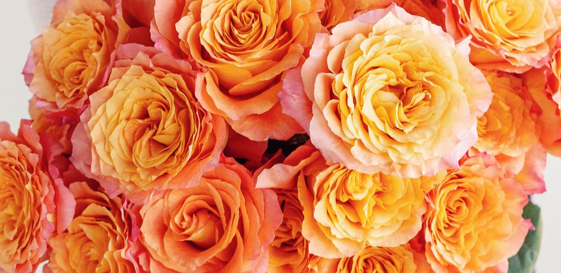 Beyond Beauty: The Versatility of Garden Roses in Stylish Floral Ar...