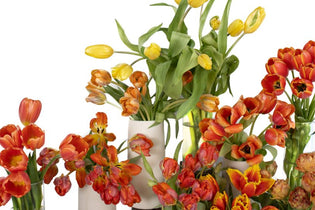 variety of orange and yellow tulips in vases
