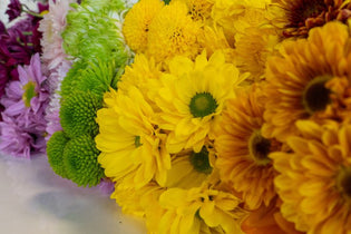 rainbow daisies on a white table