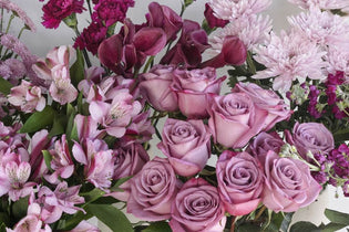 purple and lavender roses, alstroemerias, cremons, and more