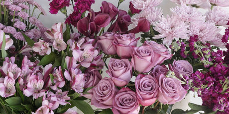 purple and lavender roses, alstroemerias, cremons, and more