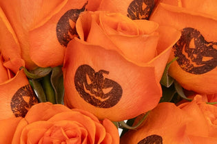 Orange Pumpkin Stamped Roses Up Close