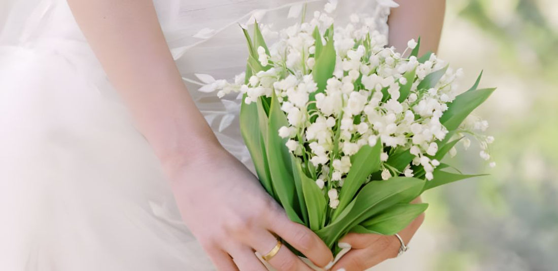 Exploring the Delicate Charms of Lily of the Valley