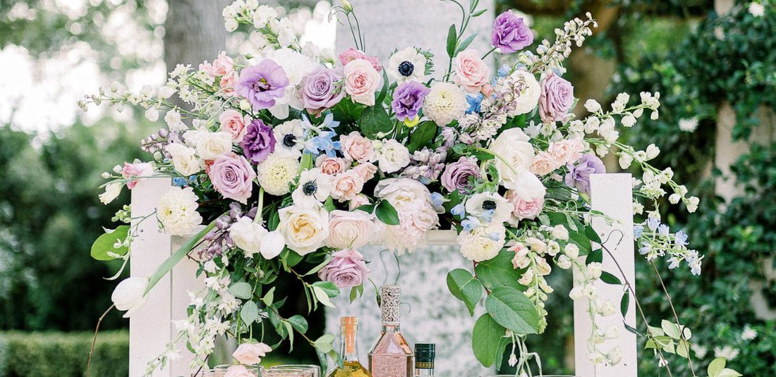 Delphiniums: Majestic and Vibrant Flowers for Stunning Displays