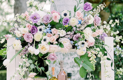 Delphiniums: Majestic and Vibrant Flowers for Stunning Displays