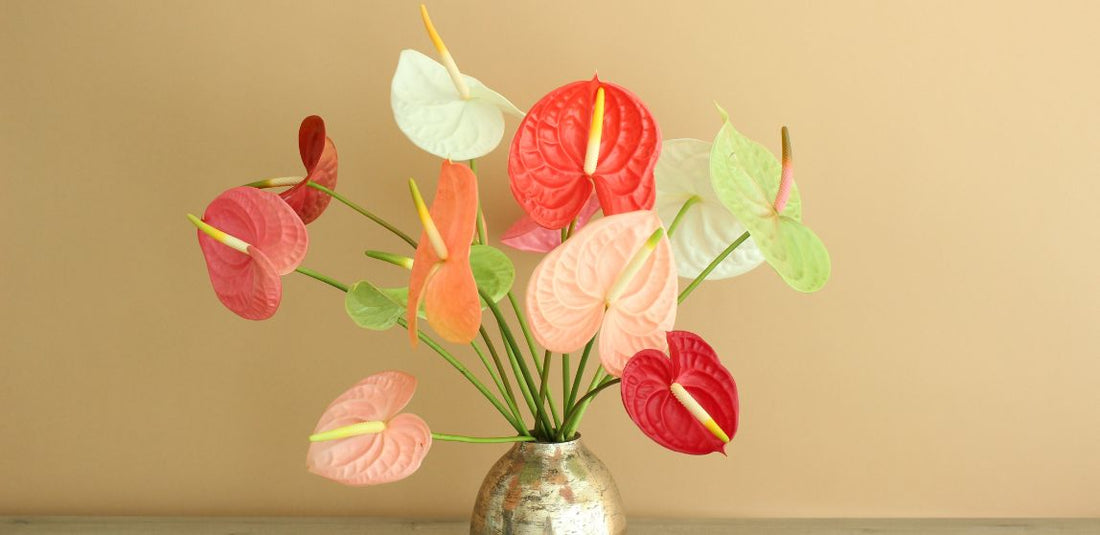 Pink, light pink, green, red, and white anthurium in a gold vase