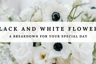 Black and White Flowers for Weddings