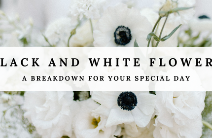 //fiftyflowers.com/cdn/shop/articles/Shopify_Blog_Covers_7.png?crop=center&height=280&v=1657735866&width=430