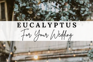 Fresh Eucalyptus: 8 Unique Varieties for Event Design