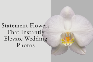 Statement Flowers That Instantly Elevate Wedding Photos