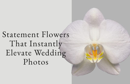 Statement Flowers That Instantly Elevate Wedding Photos