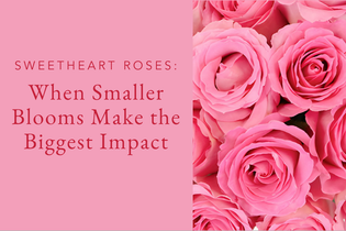 Sweetheart Roses: When Smaller Blooms Make the Biggest Impact