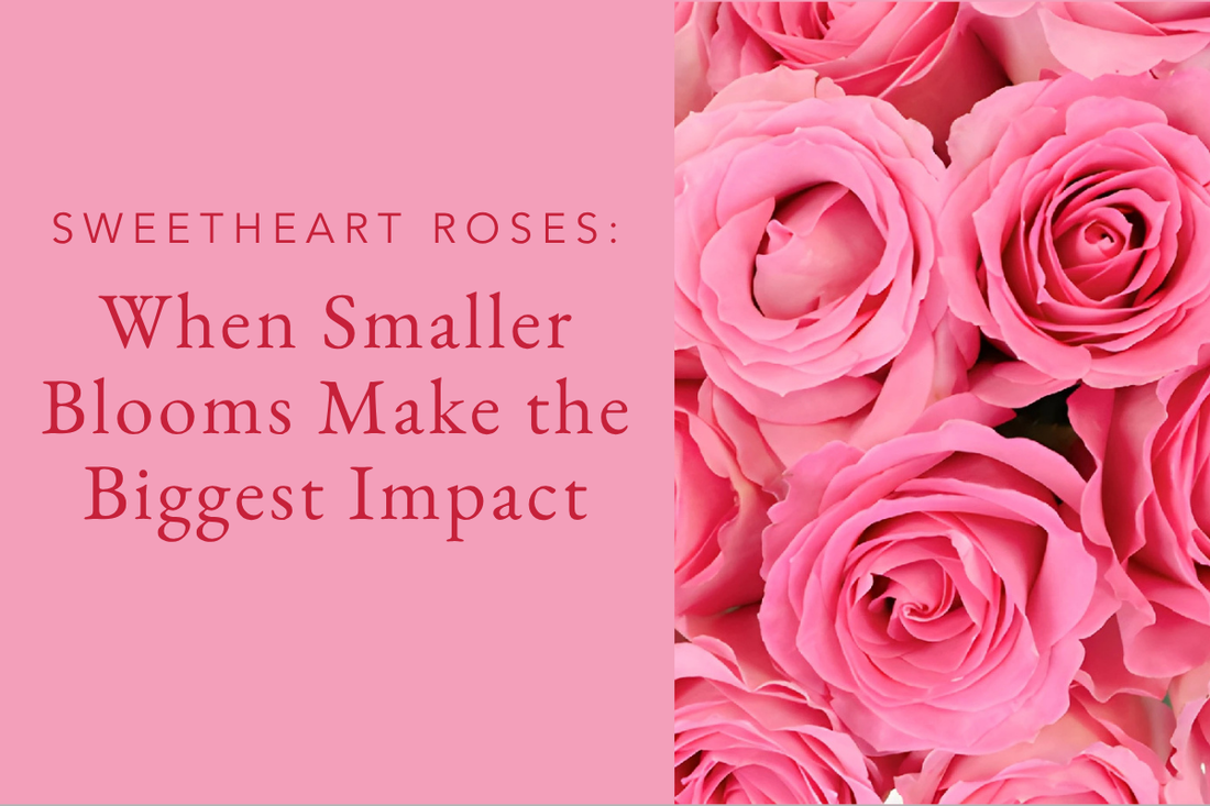 Sweetheart Roses: When Smaller Blooms Make the Biggest Impact