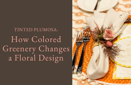 Tinted Plumosa: How Colored Greenery Changes a Floral Design