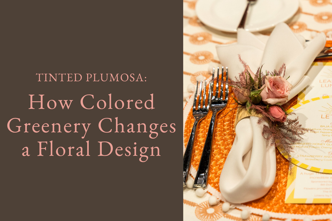 Tinted Plumosa: How Colored Greenery Changes a Floral Design