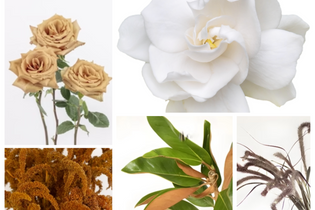 Toffee roses, gardenia, bronze amaranthus, magnolia greenery, fountain grass