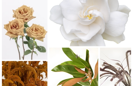 Toffee roses, gardenia, bronze amaranthus, magnolia greenery, fountain grass