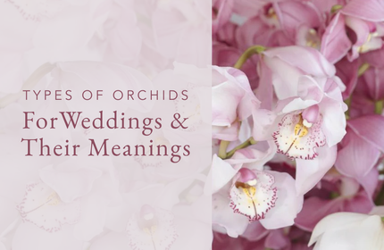 Types of Orchid Flowers For Weddings and Their Meaning