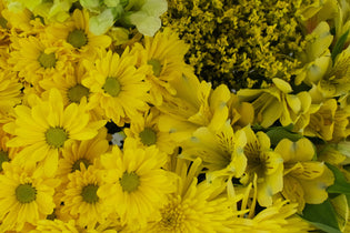 Embracing Sunshine: Creating Cheerful Displays with Yellow Flowers