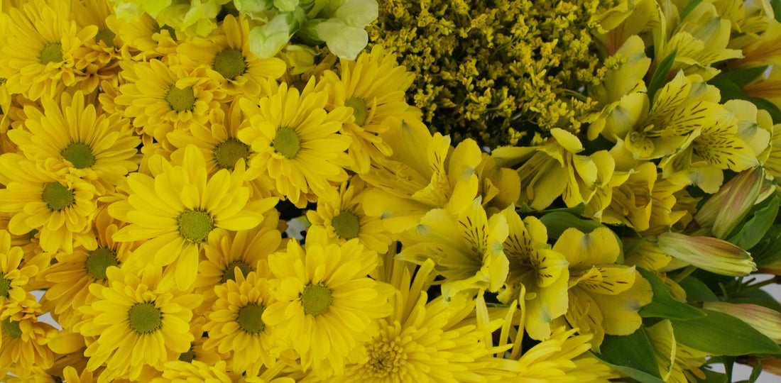 Embracing Sunshine: Creating Cheerful Displays with Yellow Flowers