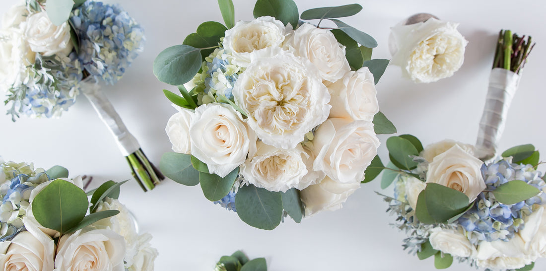 Silver dollar eucalyptus, white roses, and blue hydrangea bouquet