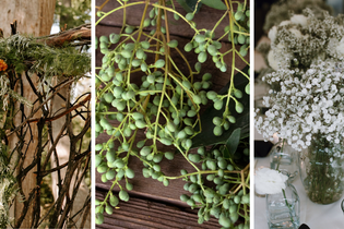 Floral Trend: Add Branches, Berries, and Baby's Breath for Unique Aesthetic featured image