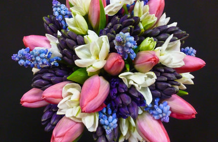 //fiftyflowers.com/cdn/shop/articles/hyacinth_spring_arrangement.jpg?crop=center&height=280&v=1734034875&width=430