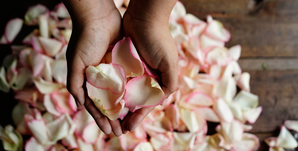 Dried Rose Petals - Dry Roses for Homemade Beauty Products