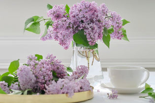 light purple lilac flowers on round gold tray and in clear glass vase