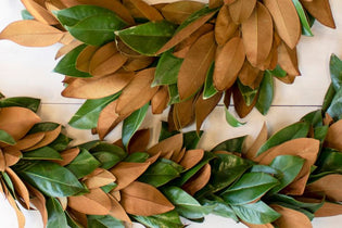 magnolia garland and wreath